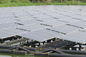 320W أحادية الألواح الشمسية السمك بركة السكنية أنظمة الطاقة الشمسية 3.2 مم سميكة خفف من الزجاج