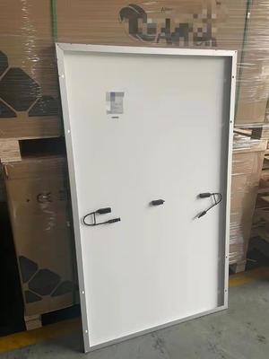 الاسم
